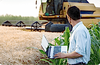 bn